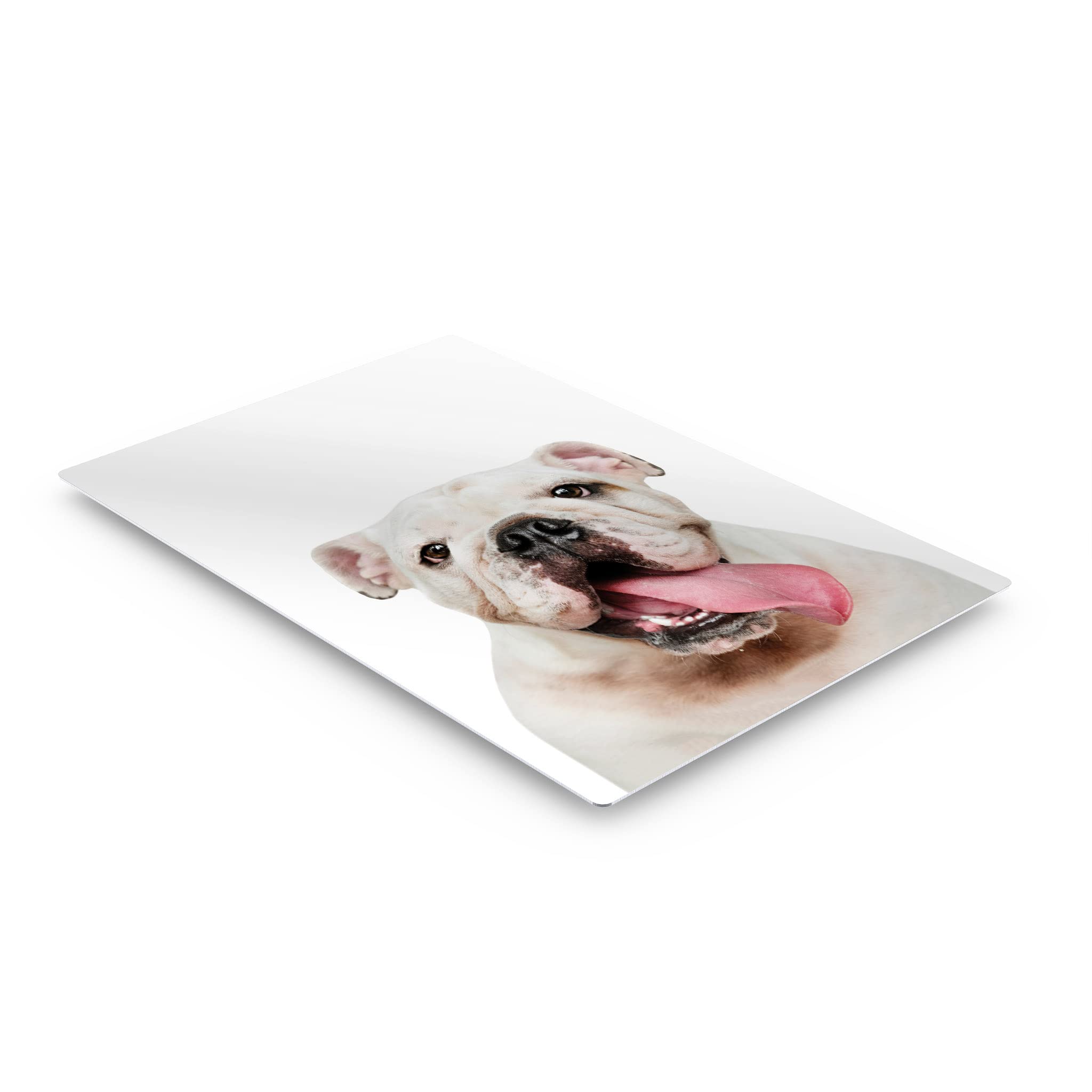 White English Bulldog Portrait Metal Wall Art - Pet Lover Gift for Dog Owners, Mom & Dad - 40x30 Inch Animal Print for Living Room, Bedroom, Nursery Decor - Made in USA | Perfect for Home, Office & Dog-Themed Spaces
