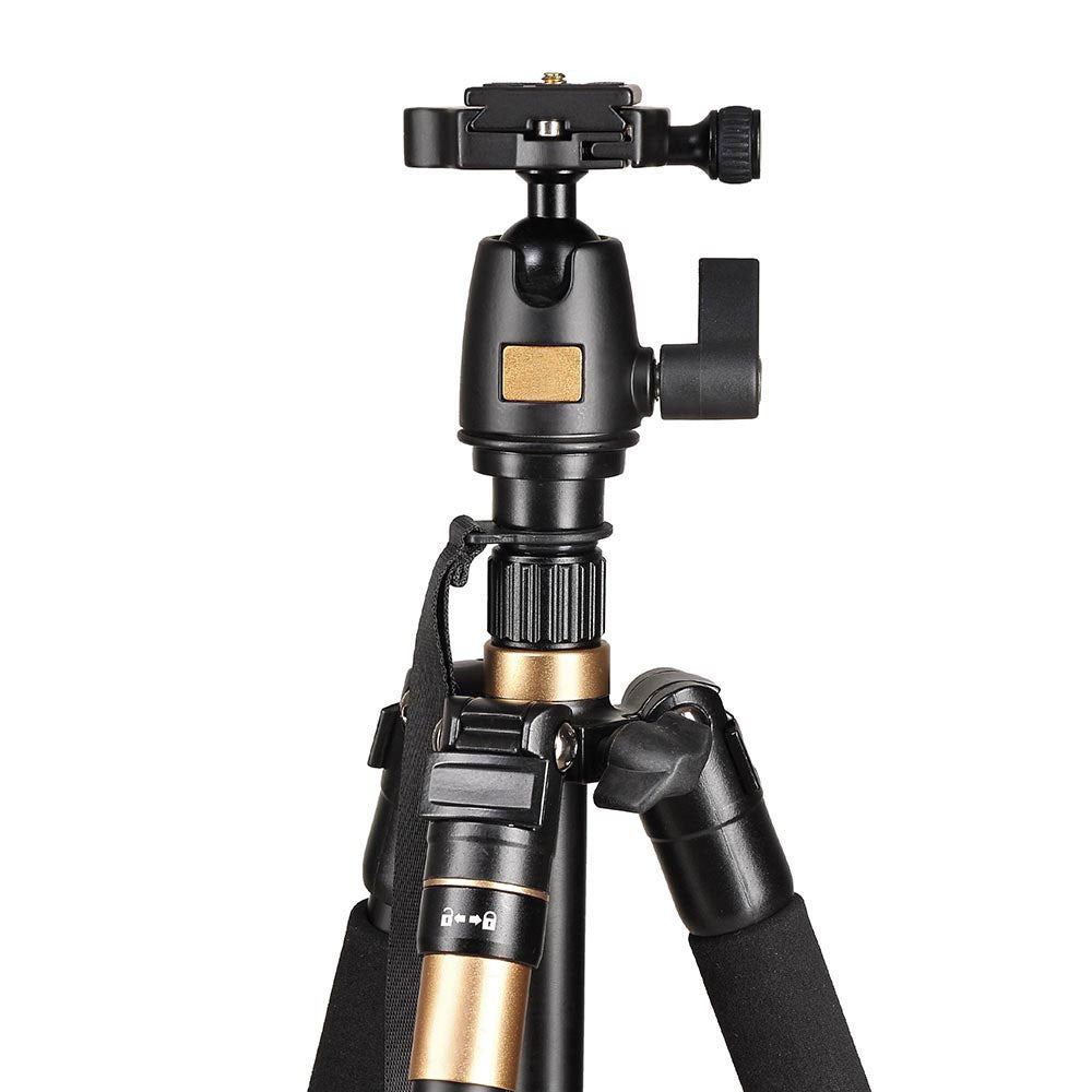 Professional 60