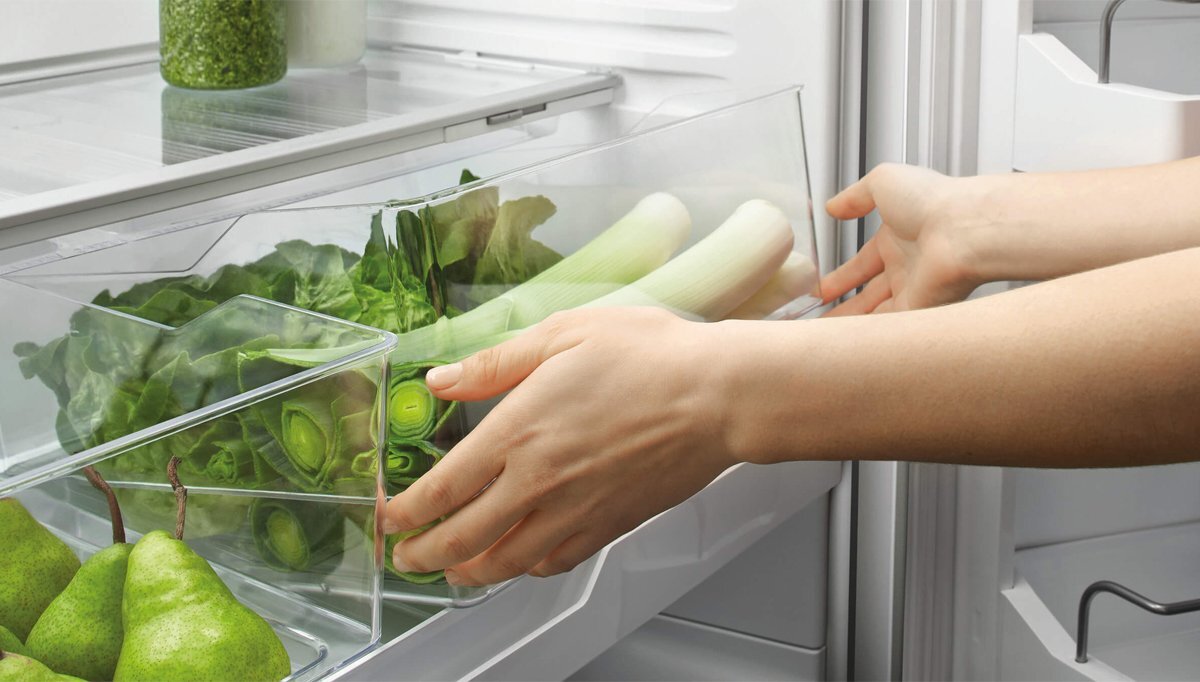 Fisher & Paykel 494L Bottom Mount Refrigerator with ActiveSmart Technology - Stainless Steel RF522BRPX6 | Energy Efficient French Door Fridge for Modern Kitchen & Open Plan Living Spaces