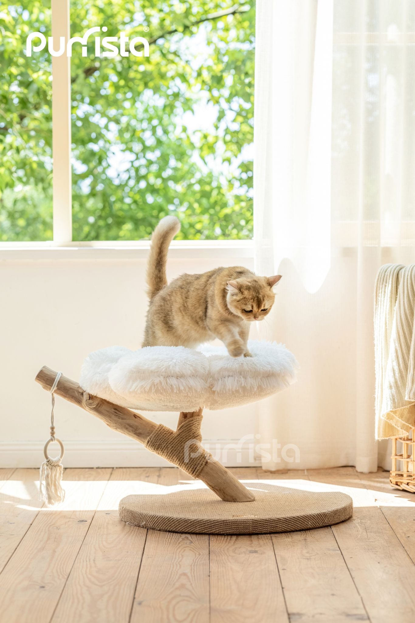 45cm Purrista Natural Wood Cloud Cat Tree - Multi-Level Cat Climbing Tower with Scratching Posts for Indoor Cats - Perfect for Play, Rest & Exercise in Home or Office