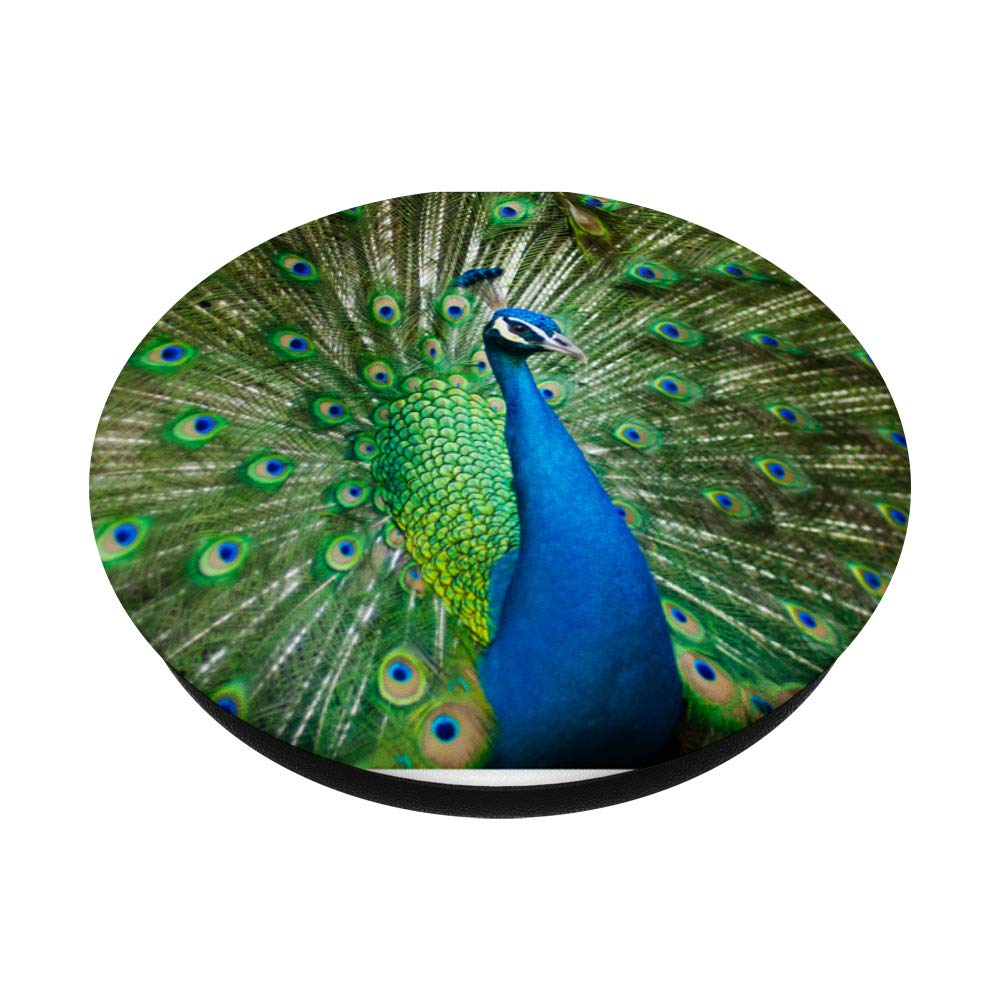 Stylish Peacock & Flamingo Collapsible PopSockets with Swappable PopGrip - Phone Stand & Grip for iPhone, Samsung - Perfect for Selfies, Gaming, and Daily Use