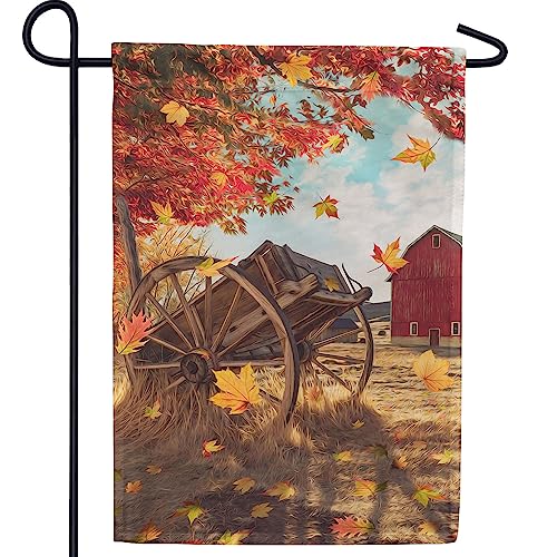 Fall Foliage