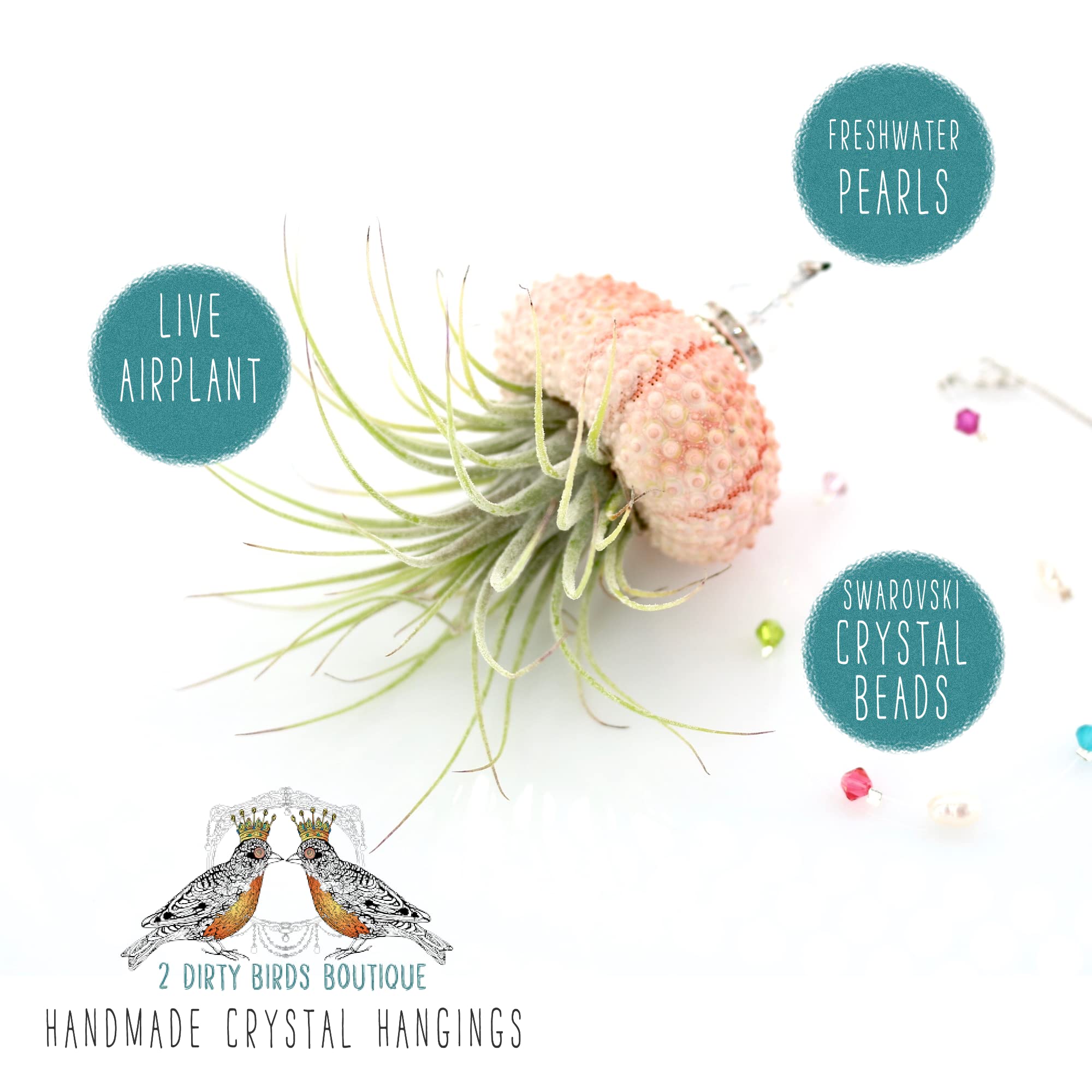 Handmade Single Hanging Jellyfish Air Plant in Sea Urchin Shell with Swarovski Crystals & Freshwater Pearls - Boho Home Décor, Live House Plant for Indoor, Outdoor, Terrarium, or Gift (Perfect for Beach-Themed Rooms, Wedding Centerpieces, and Zen Meditation Spaces)