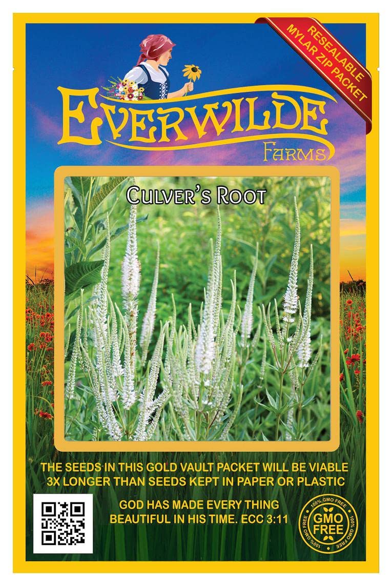 Everwilde Farms - 2000 Culver's Root Native Wildflower Seeds - Gold Vault Seed Packet for Pollinator Gardens & Natural Landscaping