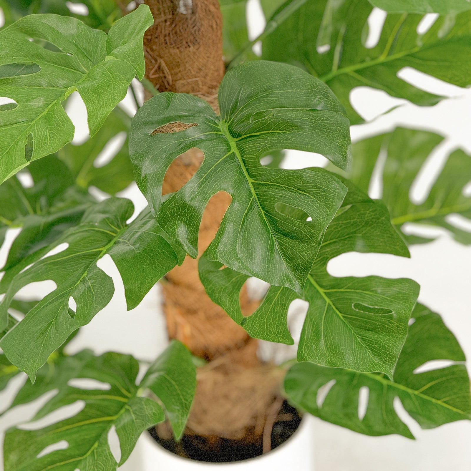 60cm Artificial Monstera Plant with Coconut Fiber Trunk - Realistic Fake Tropical Foliage for Home, Office & Indoor Decor