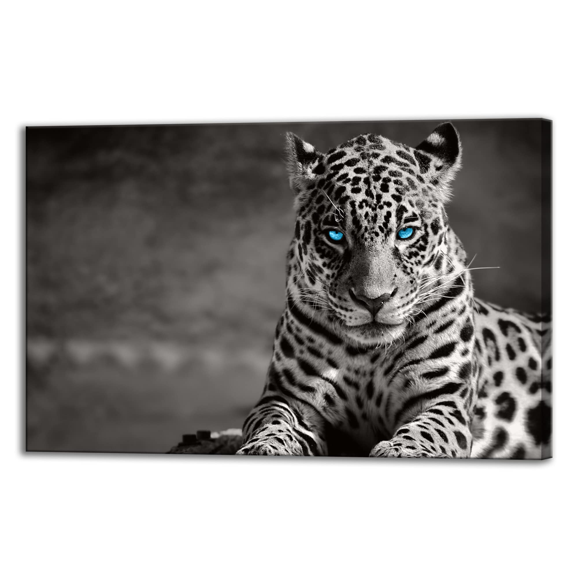 Blue-Eyed Tiger Wall Art - Black & White Animal Poster Framed Canvas Print (28x44 Inch) - Modern Jungle Decor for Living Room, Bedroom & Office