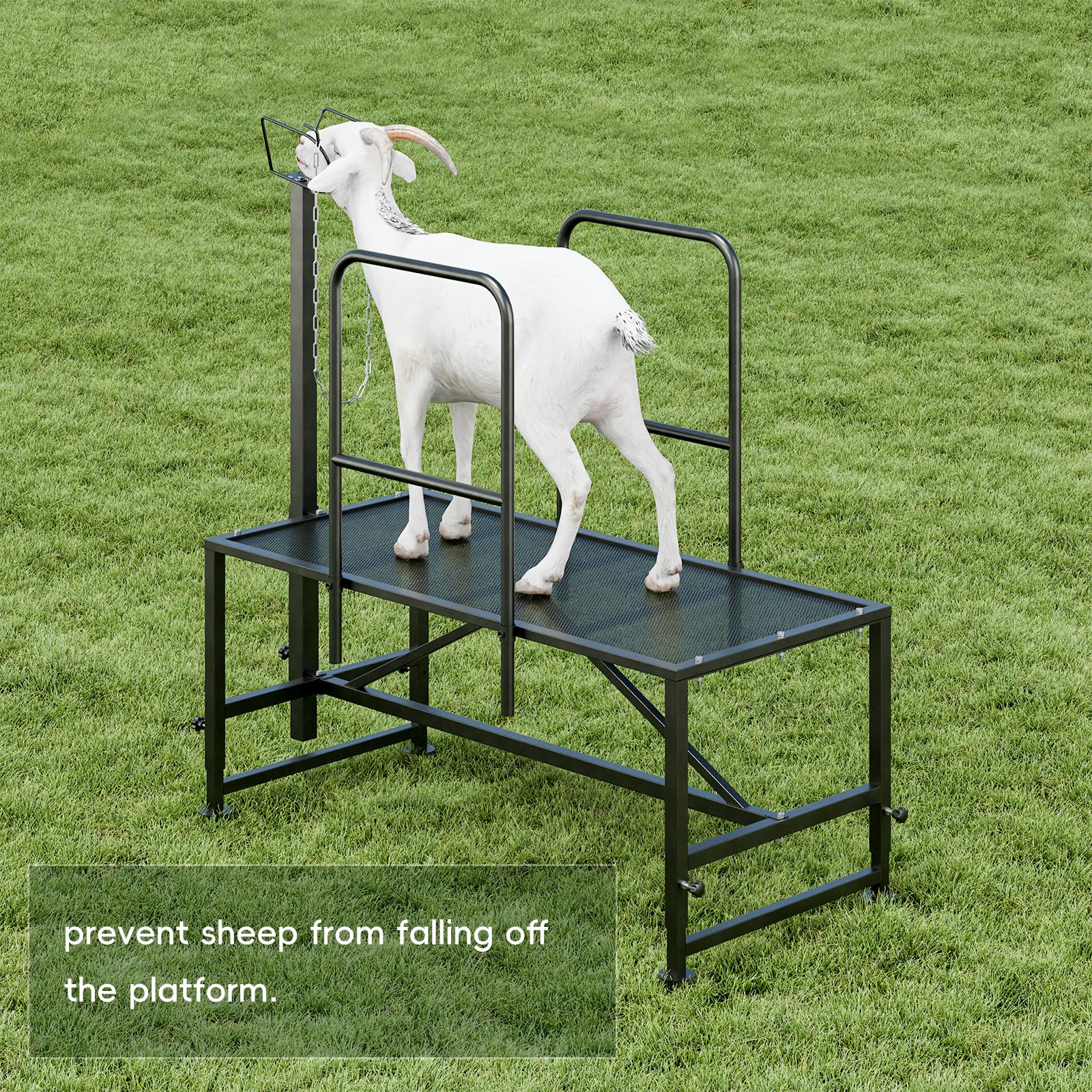 Heavy Duty Adjustable Metal Goat Milking Stand with Railings & Headpiece - Livestock Grooming Stand for Sheep, Goats - Perfect for Hoof Trimming, Milking & Veterinary Care (Black)