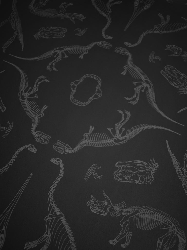 Prehistoric Dinosaur Wallpaper Sample - Peel and Stick Removable Wallpaper for Kids Room, Nursery, Classroom Decor - Easy DIY Home Decoration