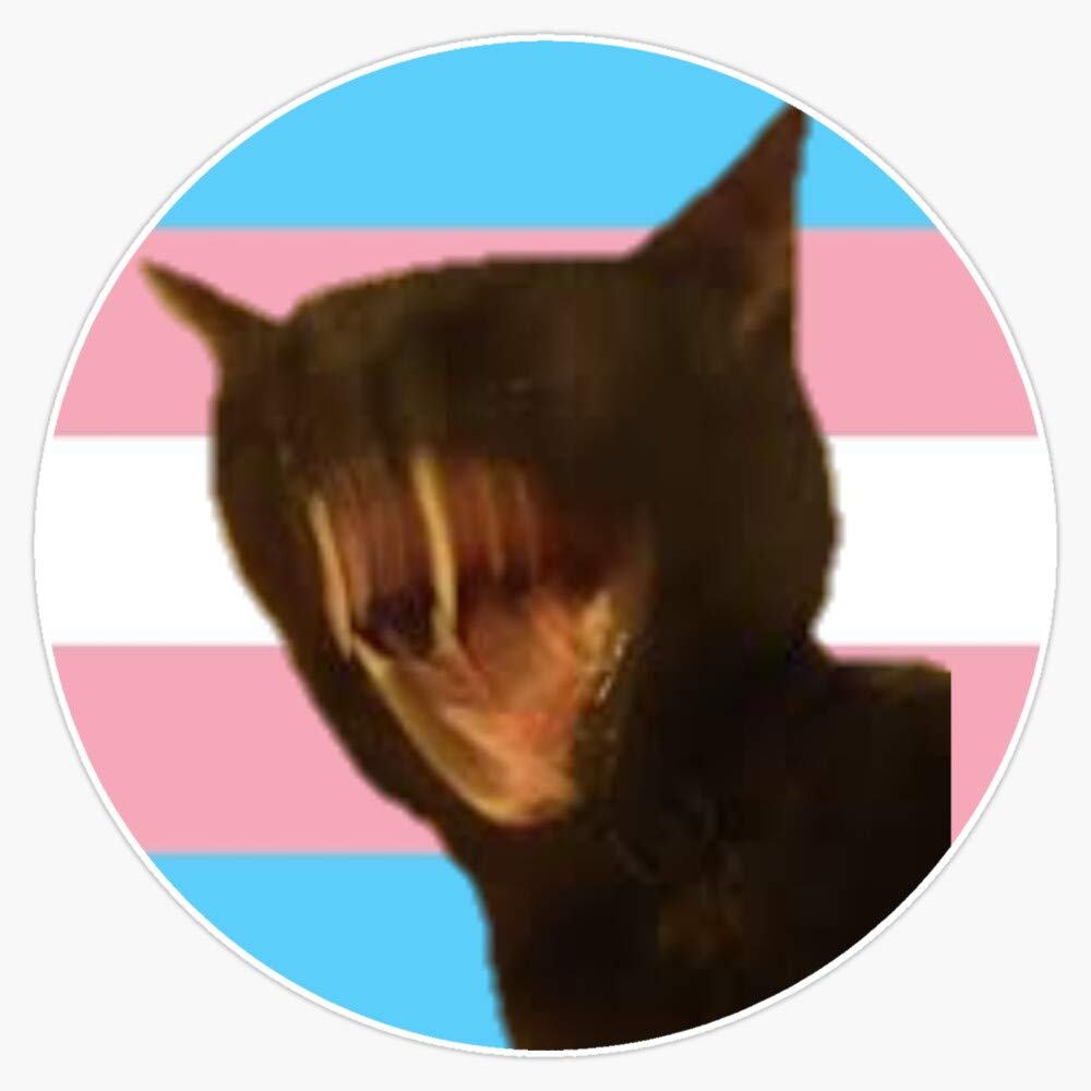 Leyland Designs Trans Void Cat - Cursed Photo Vinyl Sticker Decal (5 Inch) - Waterproof & UV Resistant for Windows, Cars, Laptops, DIY Crafts - Perfect for Halloween Decor, Gifts & Alternative Aesthetic