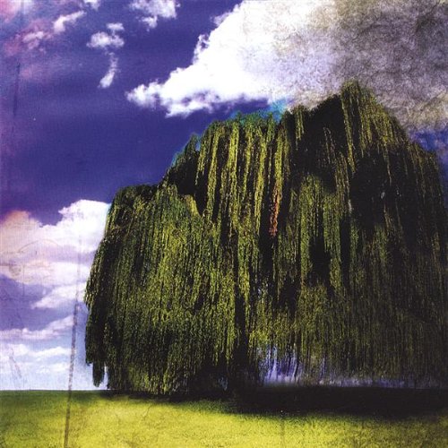 Natural Order of Things [Audio CD] by Fickle - Perfect for Relaxation, Meditation & Yoga Music
