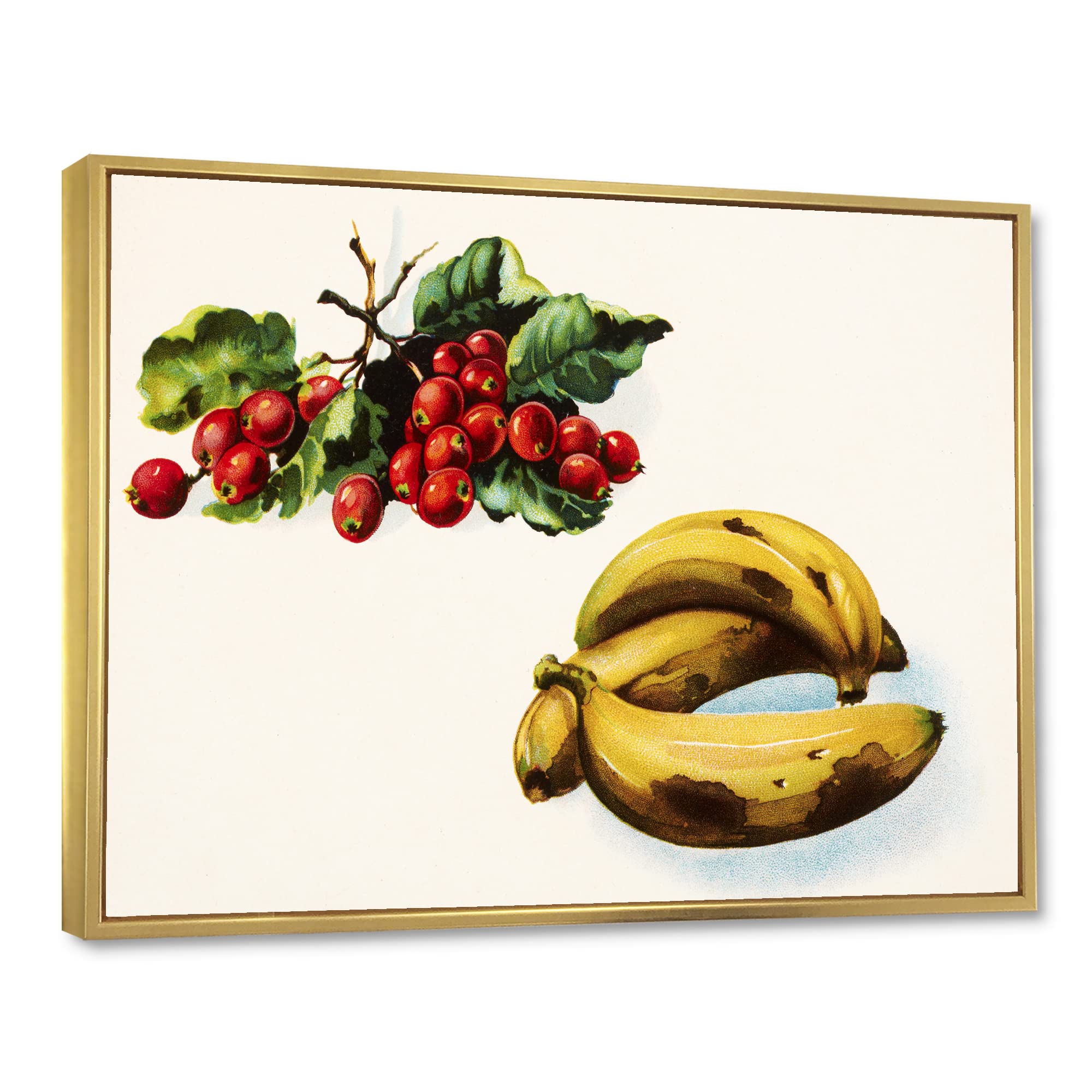 Farmhouse Framed Canvas Wall Art Print - Banana & Red Berries Design for Kitchen, Dining Room & Country Home Decor | DesignQ Modern Botanical Painting