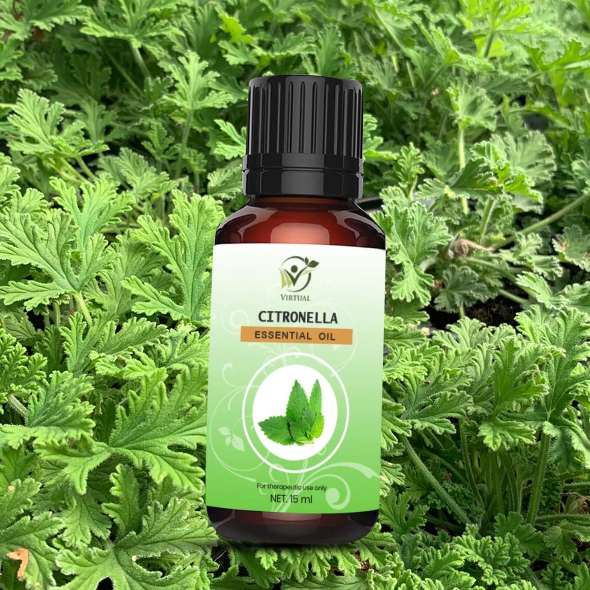 100% Pure & Natural Citronella Essential Oil for Hair & Skin Care - Mosquito Repellent & Aromatherapy - Refreshing Scent for Diffusers, Massage & Outdoor Activities
