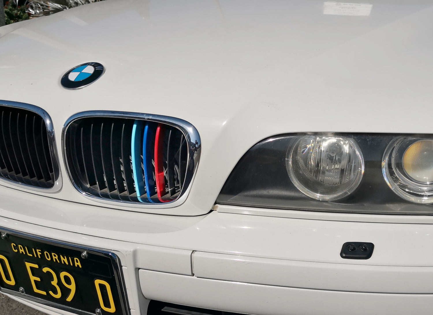 BMW E39 5 Series (1995-2003) ///M Style Colored Grille Insert Trims - 10 Beam Grill Upgrade for Enhanced Style & Performance | Perfect for Car Enthusiasts & Custom Builds