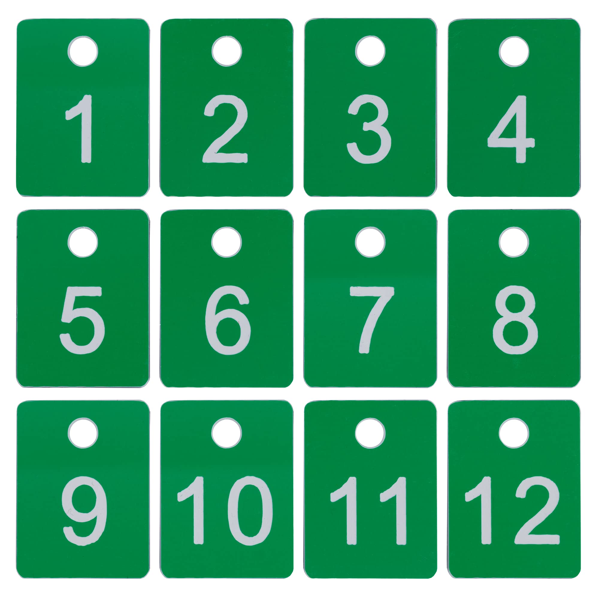 StayMax Plastic Numbered Tags 1-100 - Rectangle Key Tags with Hole for Organization - Green Number Discs for Keys, Lockers, Luggage & Storage