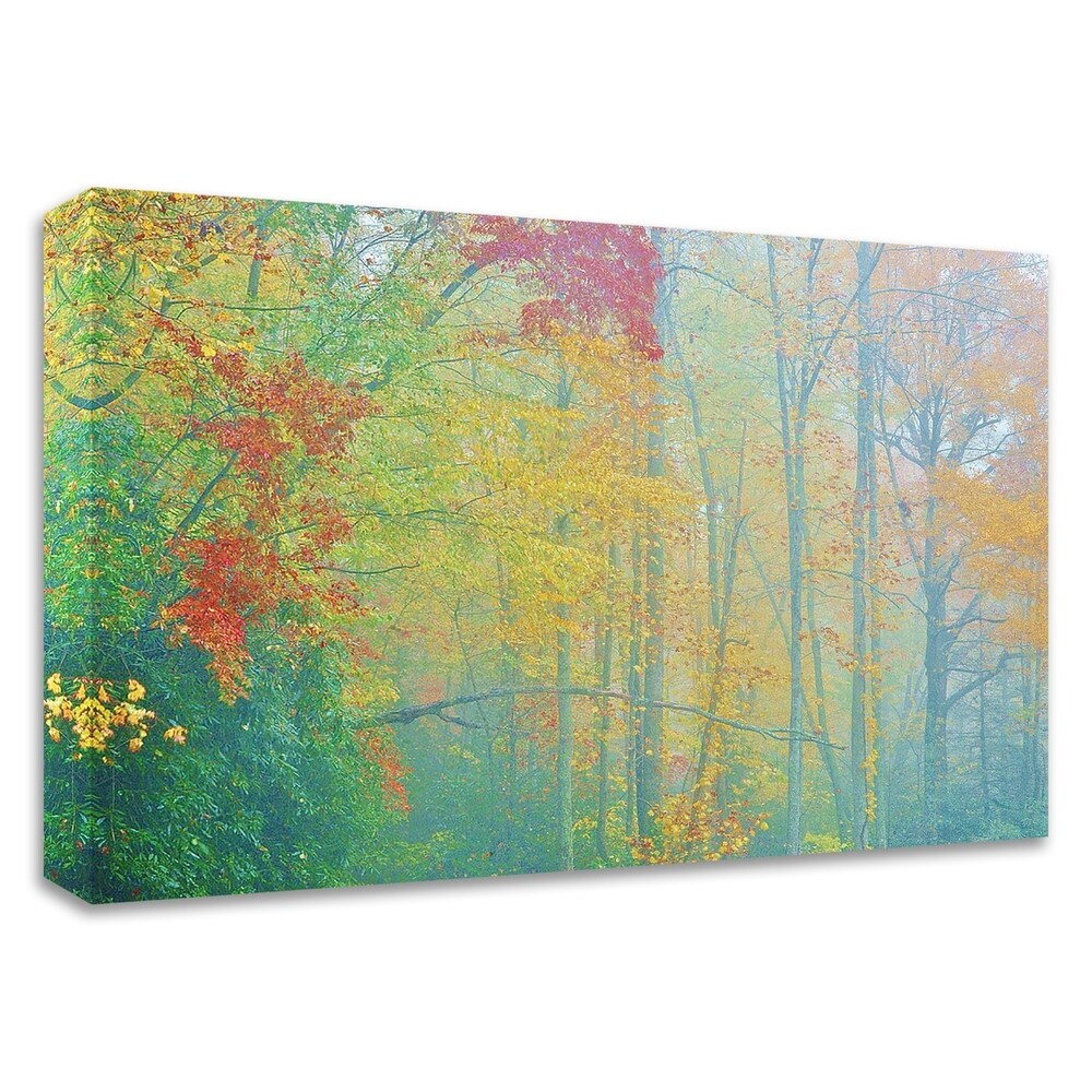 Autumn's Palette by Steve Vaughn - Premium Canvas Art Print Ready to Hang - Perfect for Living Room, Bedroom & Office Wall Decor