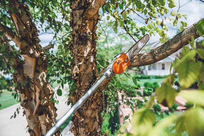 STIHL HT 135 Telescopic Pole Pruner - 12.5 ft Extendable Tree Trimmer with 2-Cycle Engine - Perfect for Tree Branch Cutting, Landscaping & Garden Maintenance