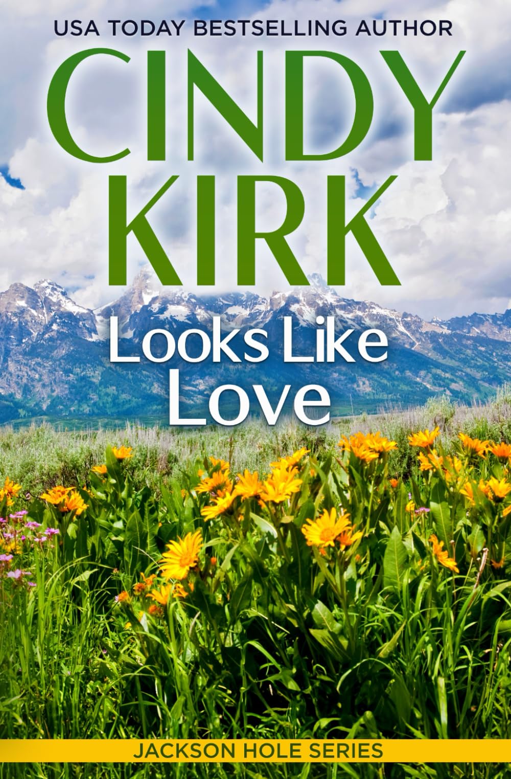 Looks Like Love: A Heartwarming Second Chance Medical Romance Novel - Jackson Hole Series | Perfect for Fans of Clean Medical Romance & Small Town Love Stories