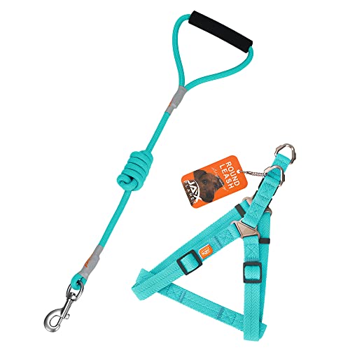 Harness+Leash:TiffanyBlue