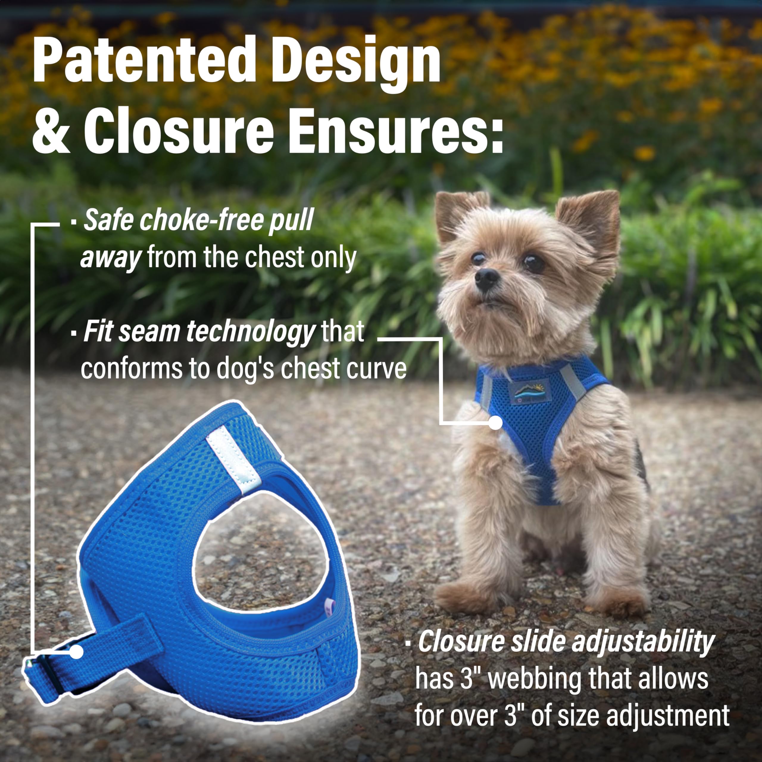 Doggie Design No-Choke Dog Harness - Breathable Mesh Polyester Pet Vest with Easy Step-in Design for Small Medium Large Dogs - Cobalt Blue Size S | Perfect for Walking, Hiking & Outdoor Adventures