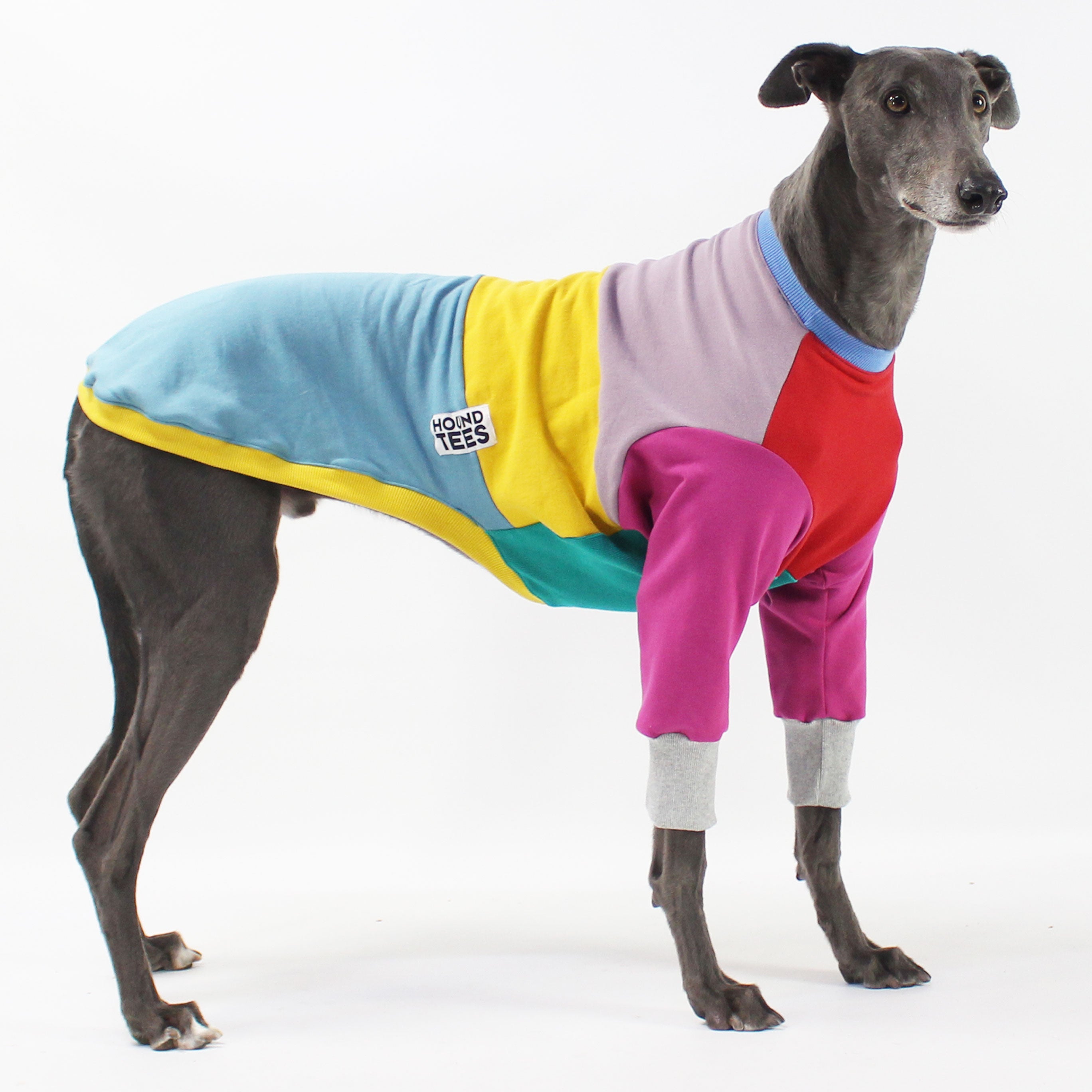 Frankie Jester Greyhound Dog Sweater - Cozy Knit Winter Apparel for Small & Medium Dogs - Perfect for Cold Weather Walks & Indoor Lounging