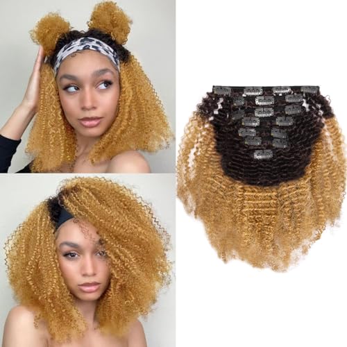 Ombre #1B/27 AC
