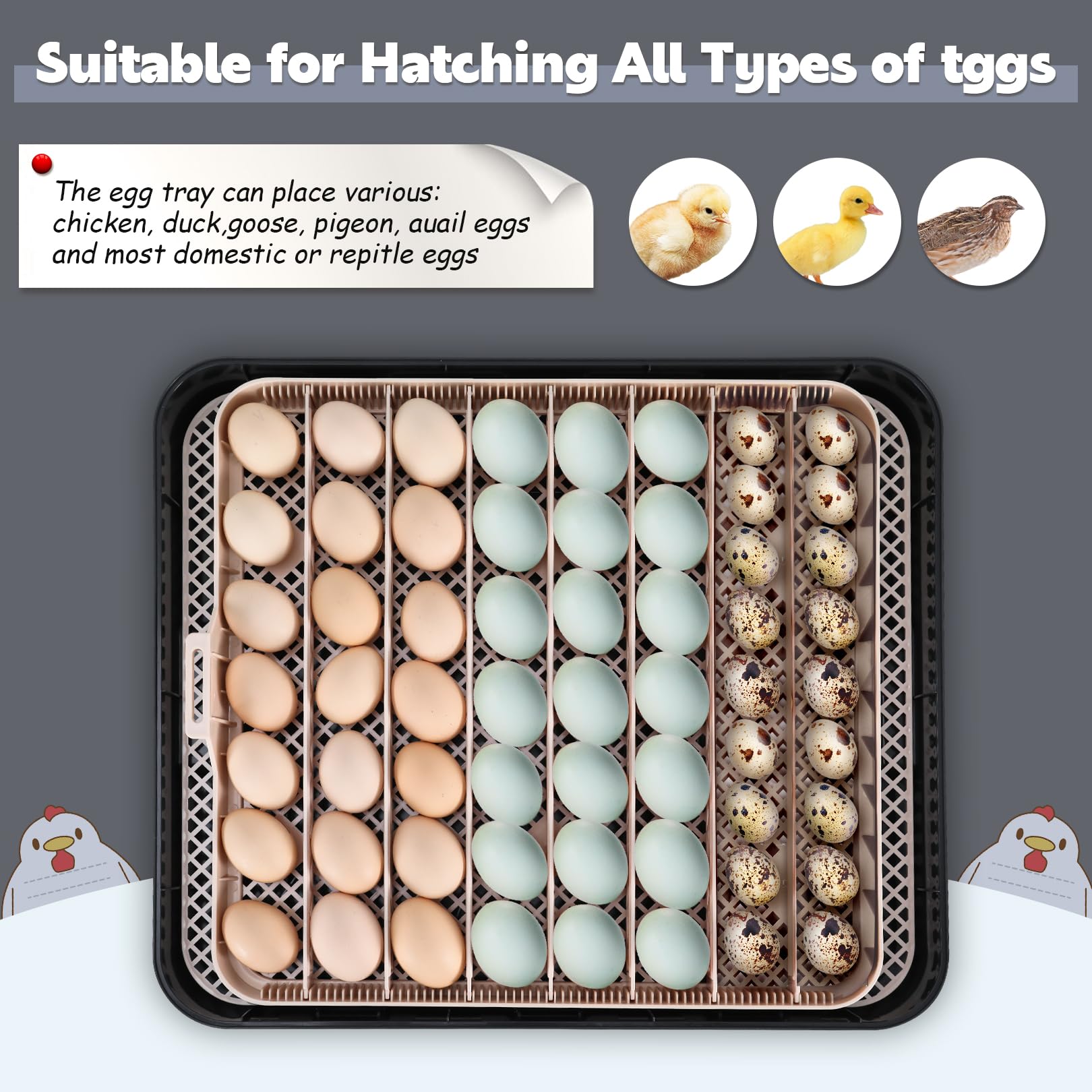 Sailnovo 56 Egg Incubator - Automatic Egg Turner, Temperature & Humidity Control, Built-in Candler for Chicken, Duck & Quail Eggs (18.7