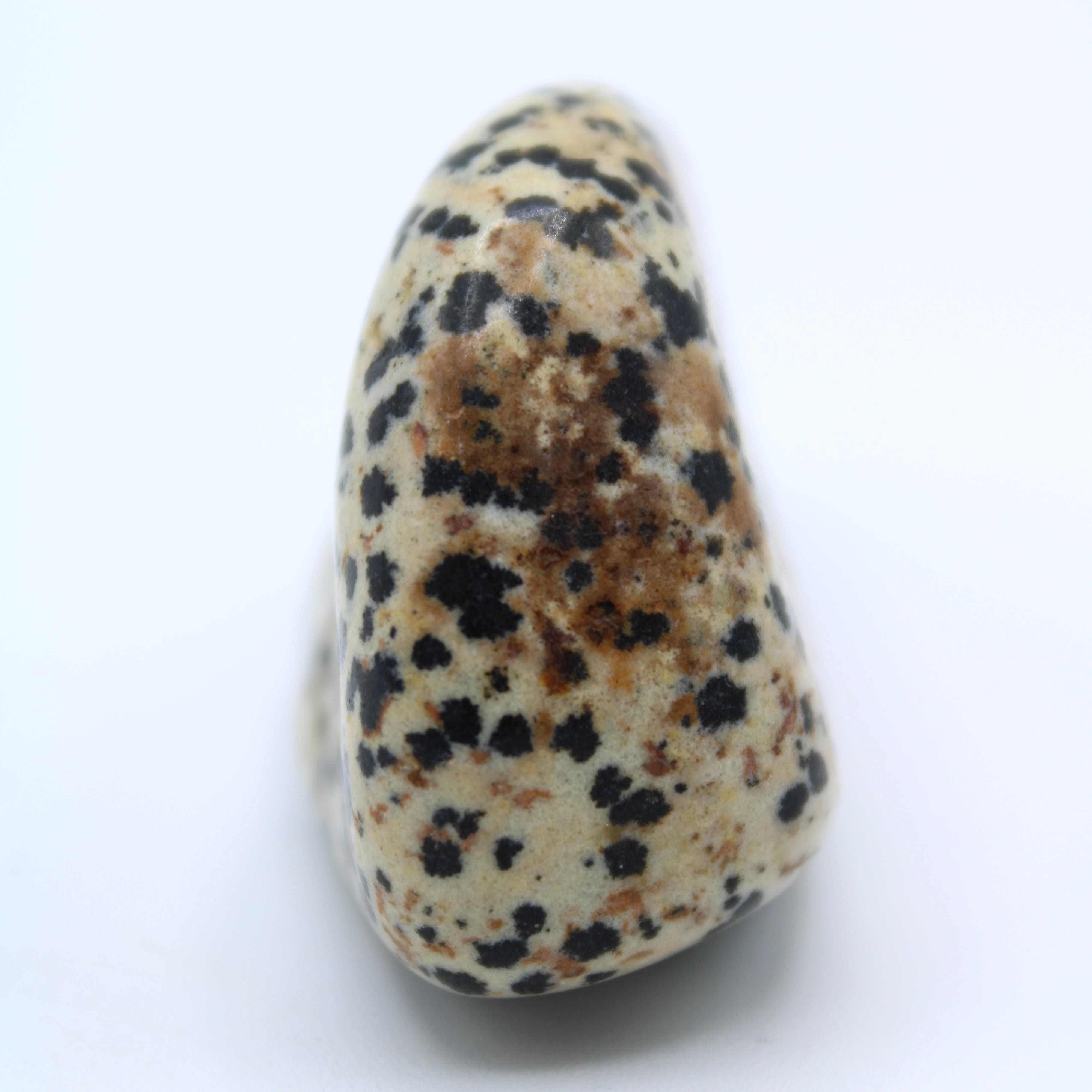 Natural Dalmatian Jasper Free Form Stone - Healing Crystal for Meditation, Energy Balancing & Home Decor | Perfect for Yoga, Reiki & Spiritual Practices