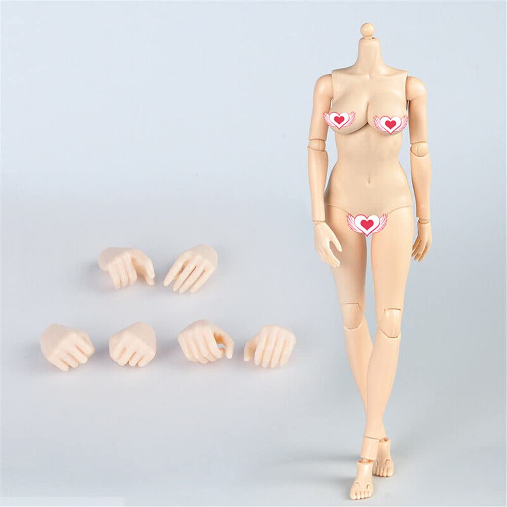 1/6 Scale Female Action Figure Body - 12 Inch Pale Skin Doll with Huge Bust & Flexible Joints for Collectors, Photography & Diorama Displays