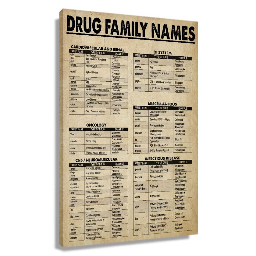 Vintage Pharmacy Knowledge Poster - Drug Family Names Infographic Wall Art - Unframed Canvas Print (24x36 inches, 60x90 cm) - Perfect for Bedroom Decor, Home Office, or Medical Student Gifts