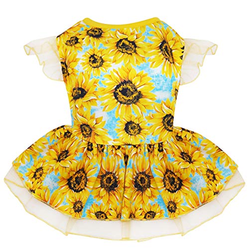 3#A_Sunflower