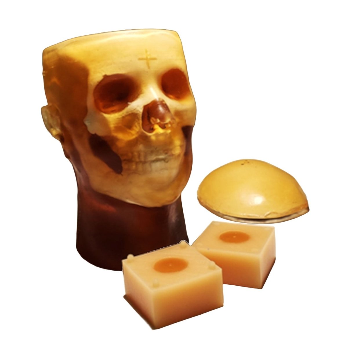 QC1 Phantom Head for X-Ray, CT, and MRI Scans - High-Quality Imaging Test Tool for Radiology, Medical Training, and Equipment Calibration