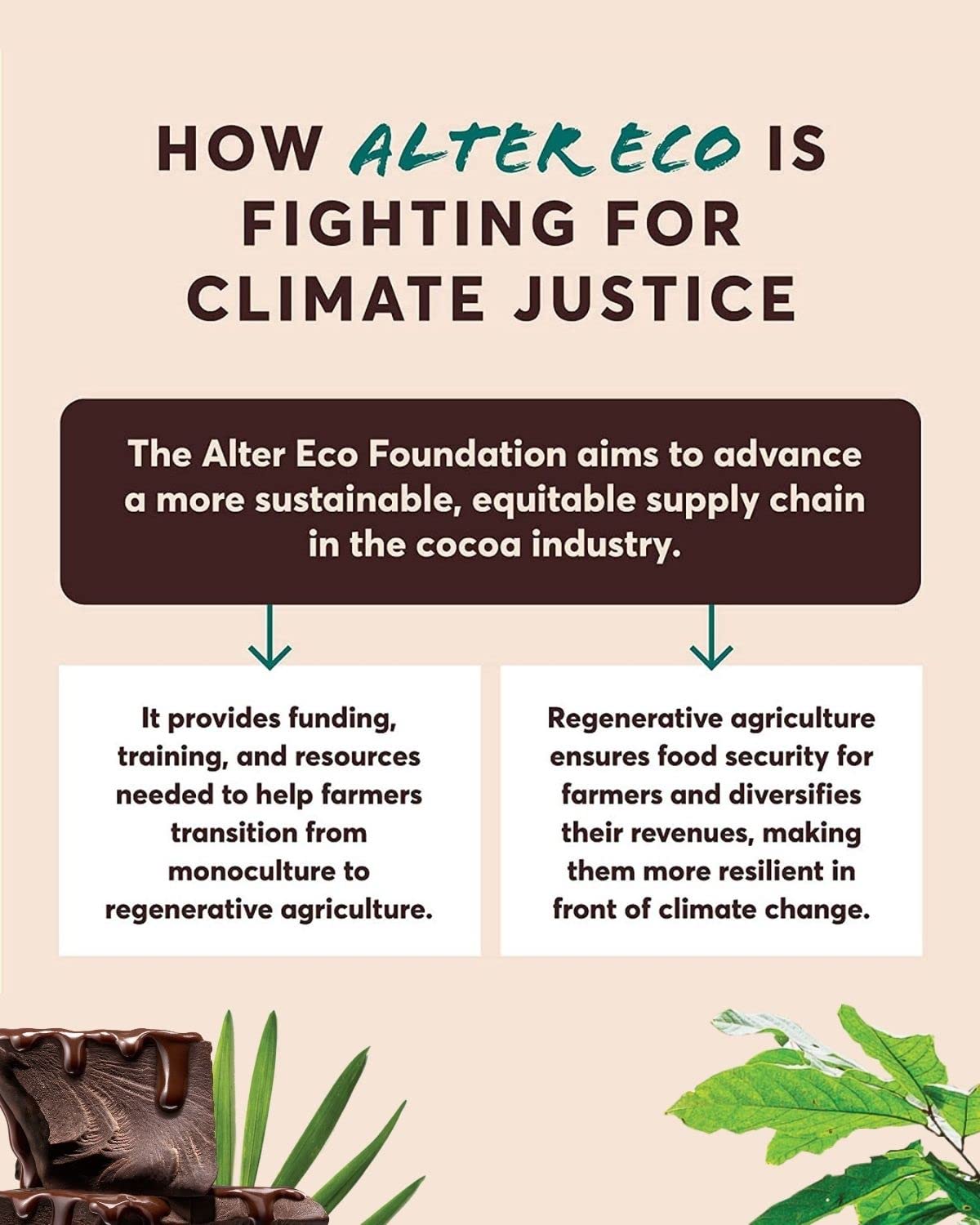 Alter Eco Organic Dark Chocolate Bars - Fair Trade, Non-GMO, Gluten Free, Pure Dark Cocoa with Quinoa Crunch (2-Pack) | Perfect for Healthy Snacking, Gifts & Vegan Treats