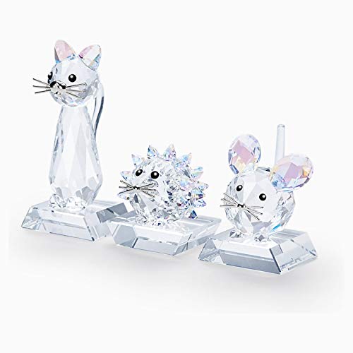 Limited Edition Set