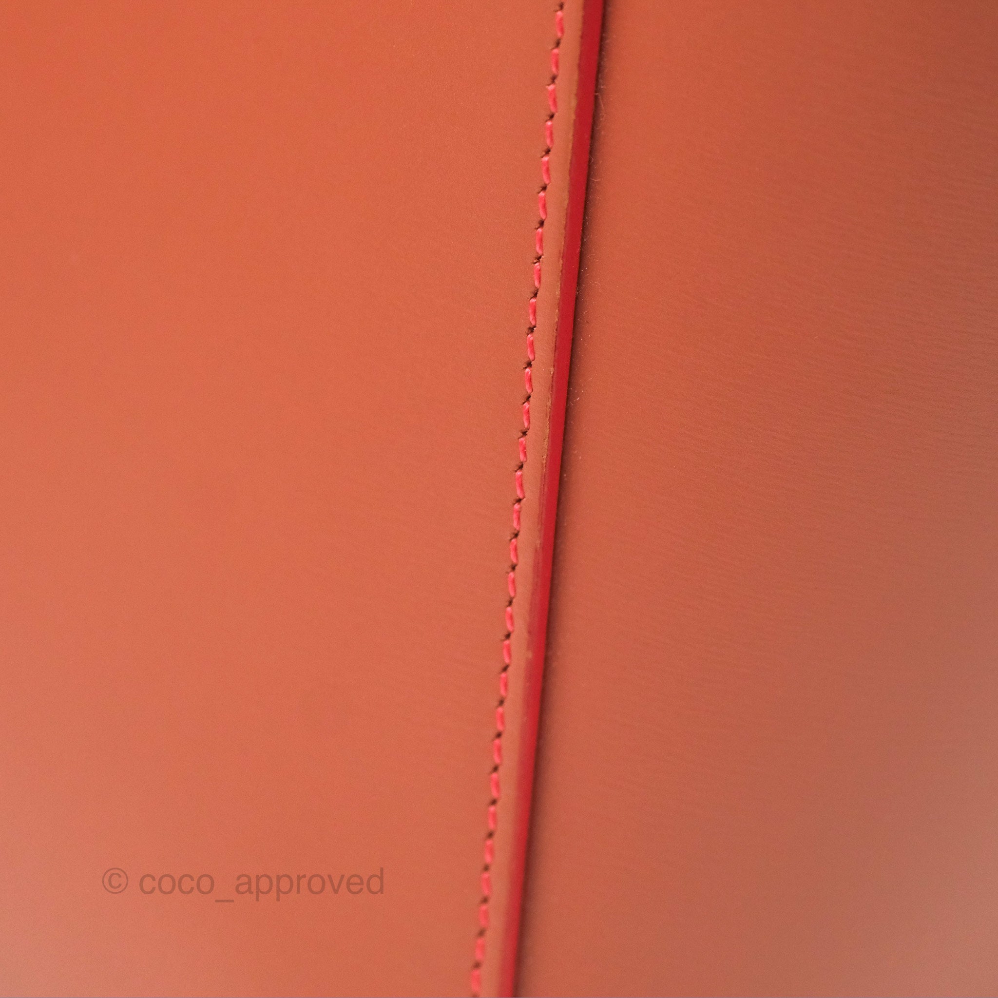 Celine Micro Belt Bag in Terracotta | Smooth Leather with Gold Hardware | Perfect for Work, Travel & Everyday Use