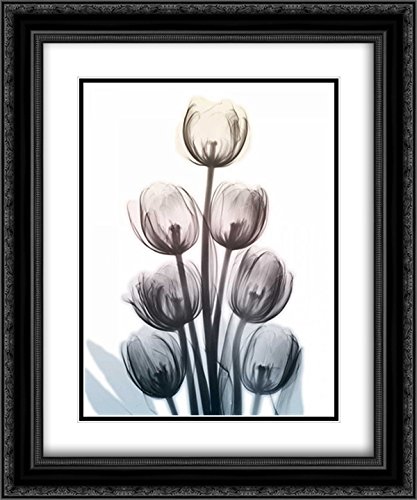 Albert Koetsier Springing Tulips 15x17 Inch Black Ornate Framed Art Print with Double Mat - Perfect for Living Room, Bedroom & Office Wall Decor