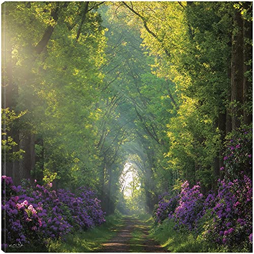 Morning in the Forest