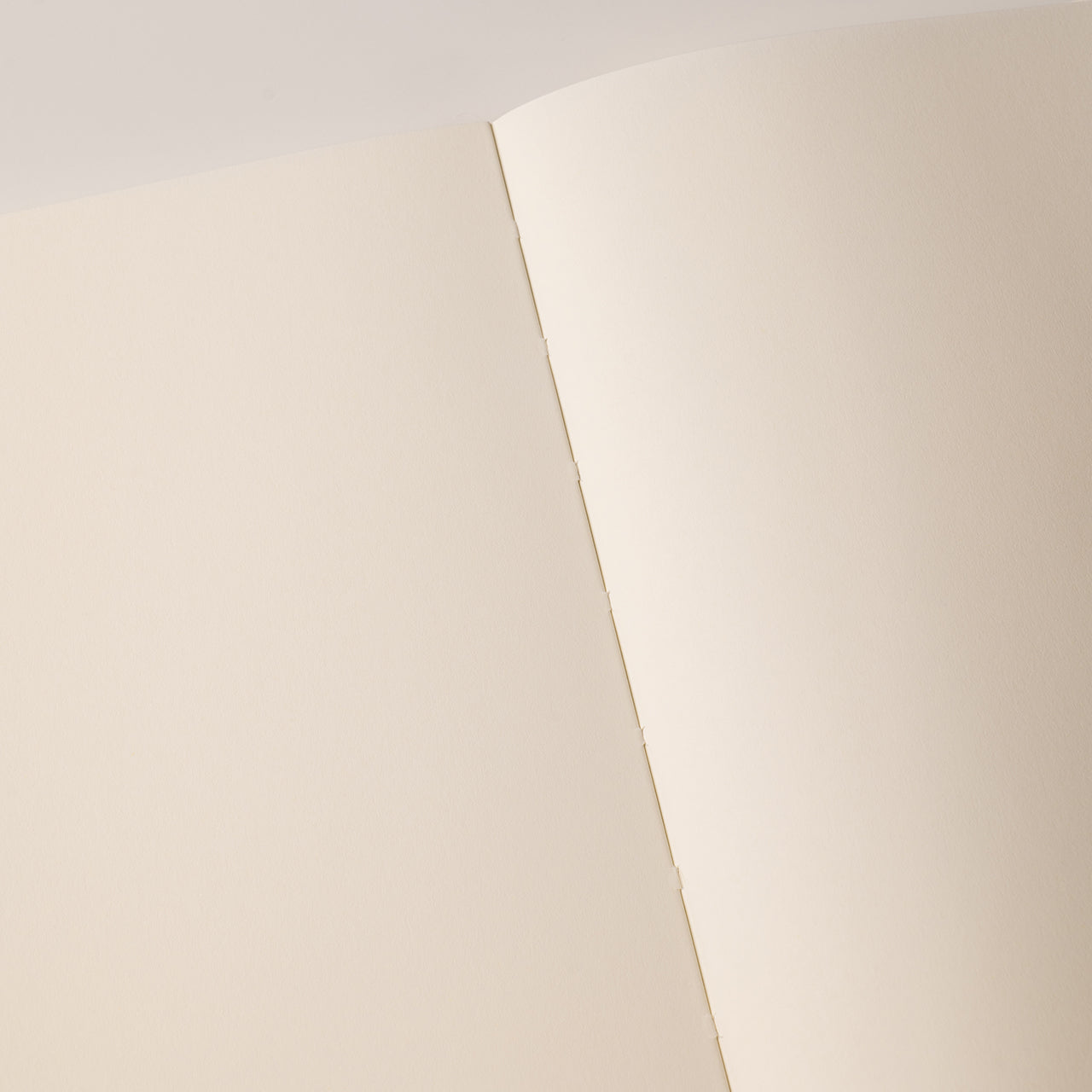 Any Day Notebook A5 - Premium Lined Journal for Writing, Note Taking & Planning - Perfect for School, Office & Travel - Eco-Friendly Paper & Durable Cover