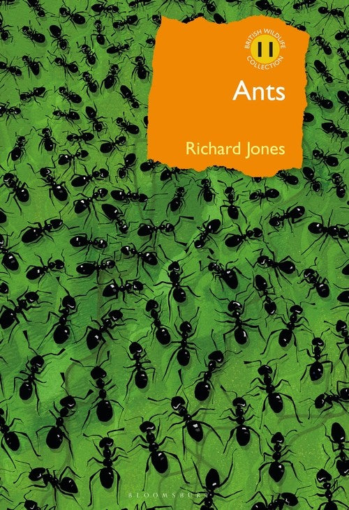 Ants: The Ultimate Social Insects - Fascinating Facts & Behavior for Nature Lovers & Science Enthusiasts