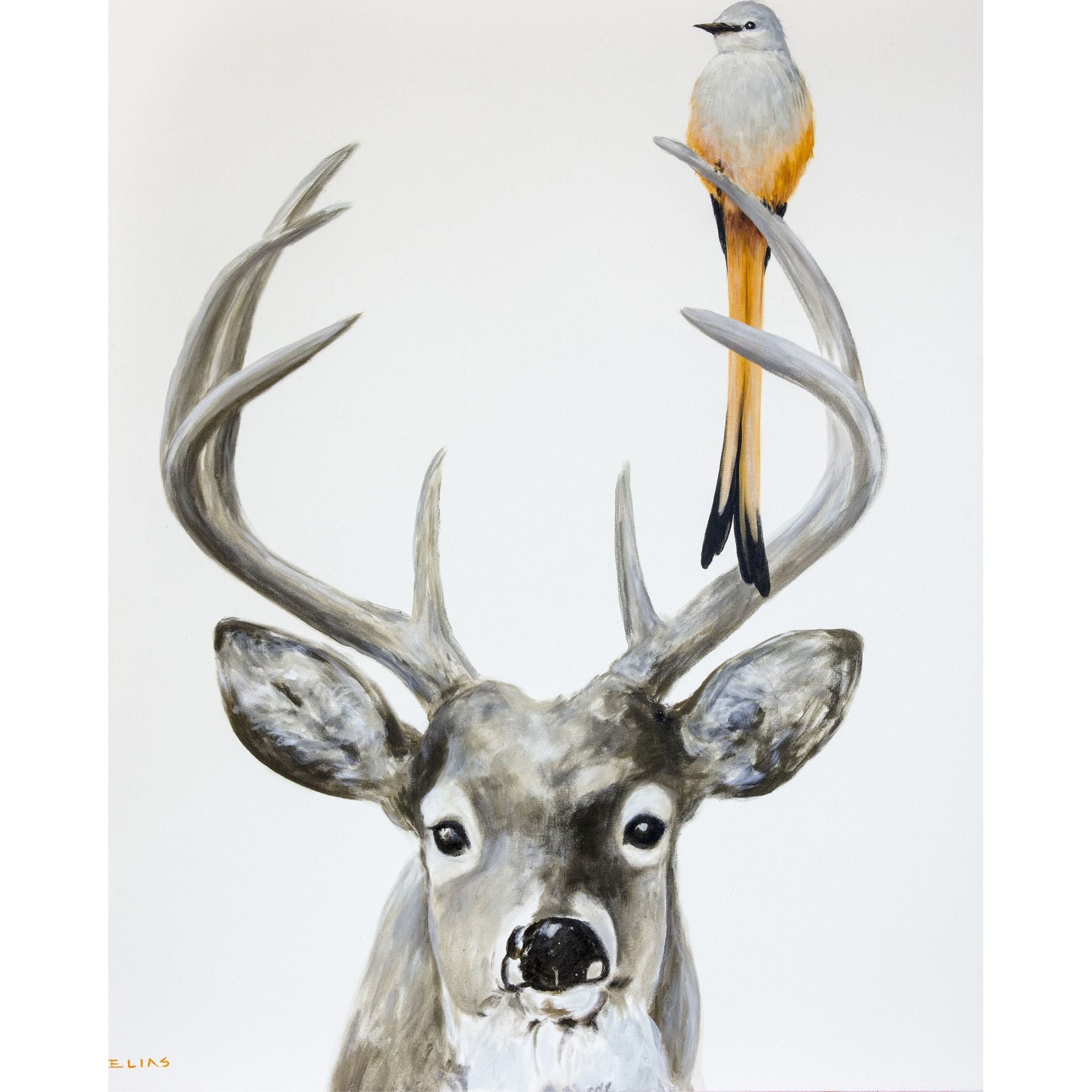 Brilliant Buck Canvas 50x40 Inch - Premium Cotton Canvas for Wall Art, Home Decor & Office Decoration | Perfect for Living Room, Bedroom & Studio Display