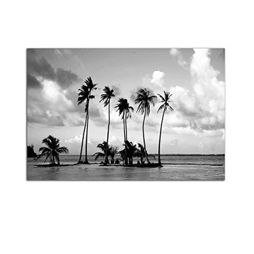Black White Palms