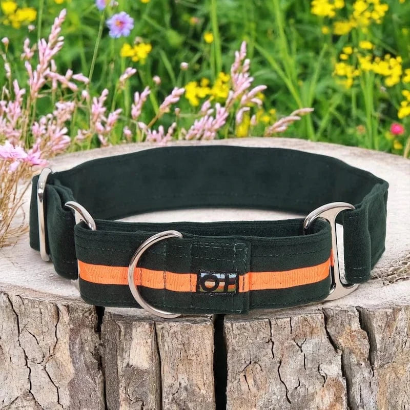 Martingale Dog Collar Adjustable Training Collar for Medium & Large Dogs | Durable Nylon No-Slip Design | Multiple Colors | Perfect for Walking, Training & Outdoor Adventures