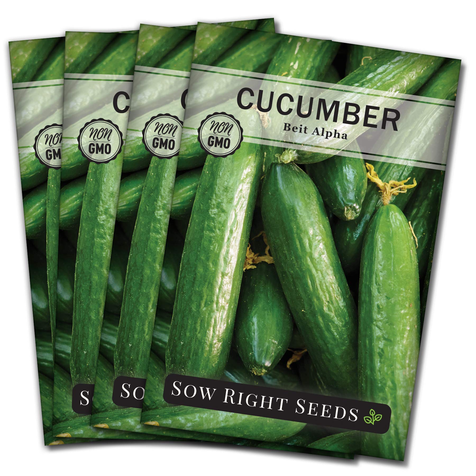 Sow Right Seeds - Non-GMO Heirloom Beit Alpha Cucumber Seeds for Planting - Grow Your Own Home Vegetable Garden with Planting Instructions - Indoor Starter & Outdoor Trellis Planting (4 Pack) | Perfect for Fresh Salads, Pickling, and Healthy Snacking