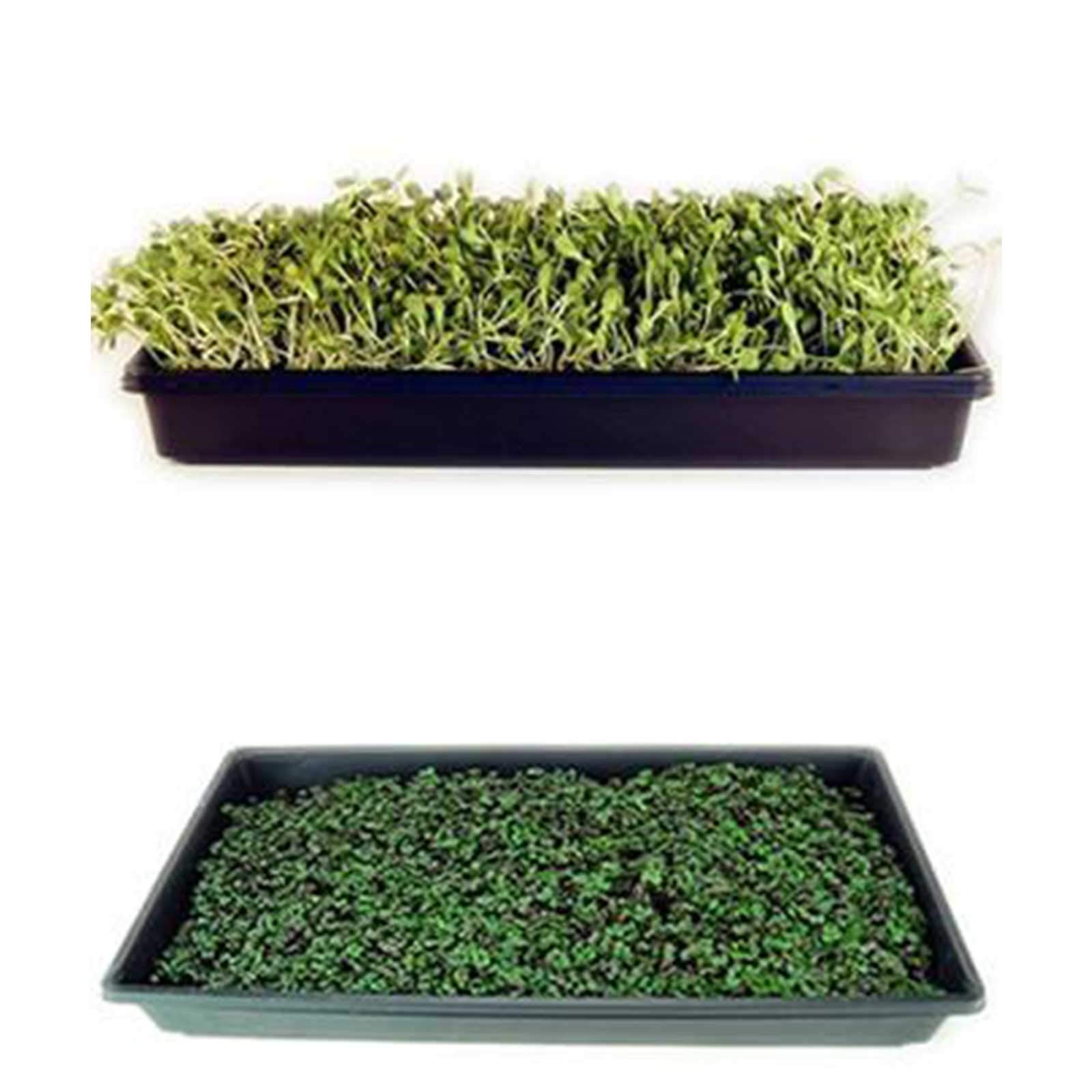 Premium Microgreens Growing Kit - Organic Soil & Hydroponic Indoor Garden System for Fresh Greens & Baby Salad | Complete Starter Kit with Step-by-Step Guide | Perfect for Home Gardening, Healthy Eating & Urban Farming