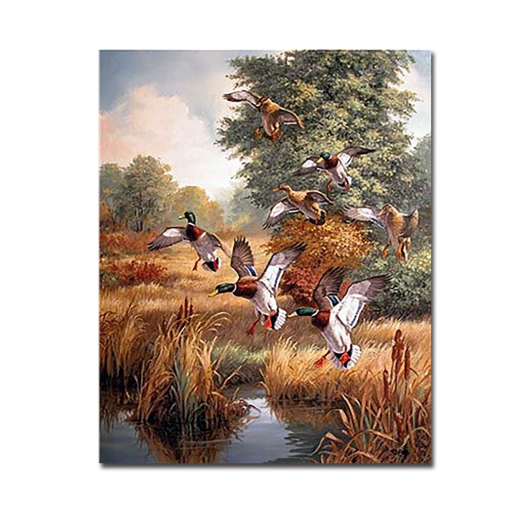HYFBH Mallard Duck Canvas Oil Painting - 50x70cm Framed Wall Art, Hunting Duck Scenery Print for Living Room, Bedroom & Office Decor | Ready-to-Hang Home Decoration