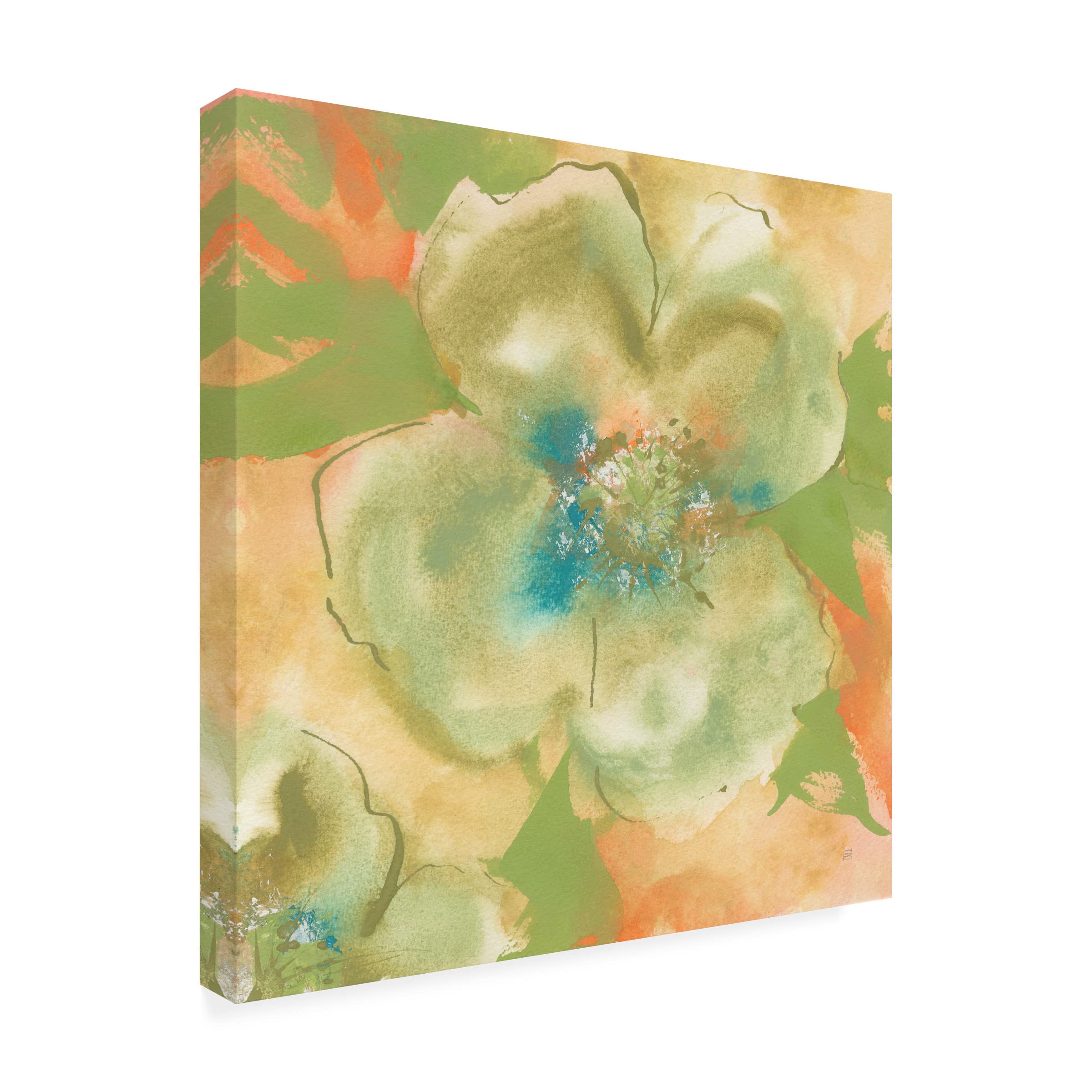 Chris Paschke Olive Poppy I Canvas Art Print - Modern Floral Wall Decor for Living Room, Bedroom & Office - Trademark Fine Art Collection