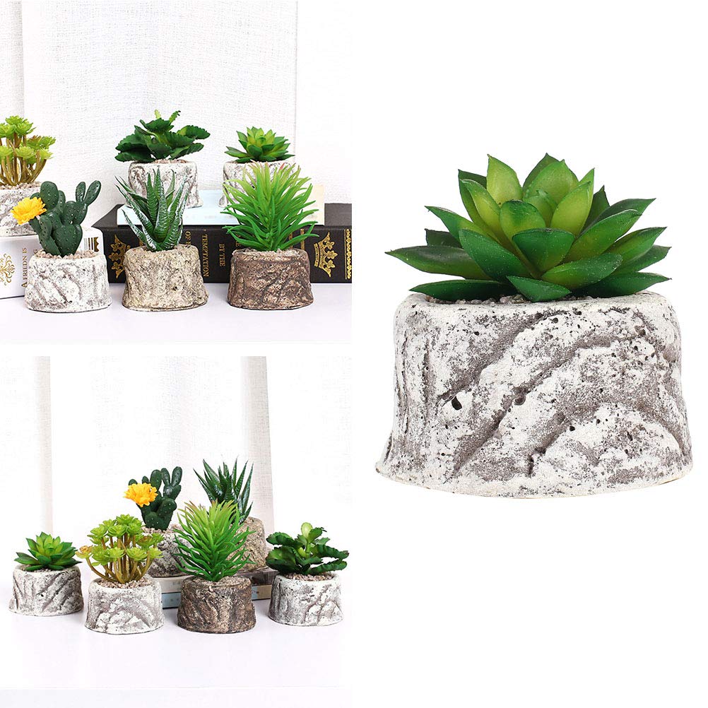 VICASKY Decorative Succulent Plant Pots - Ceramic Flower Pots for Cactus, Aloe Vera, Small Plants - Perfect for Home, Office, Garden Decor and Gift Ideas