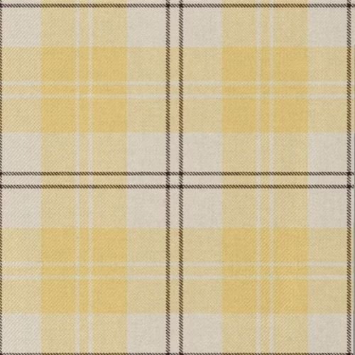 Ailsa Yellow Tartan Plaid Scarf - Classic Scottish Tartan Pattern for Men & Women - Perfect for Winter Fashion, Outdoor Activities, and Holiday Gifts