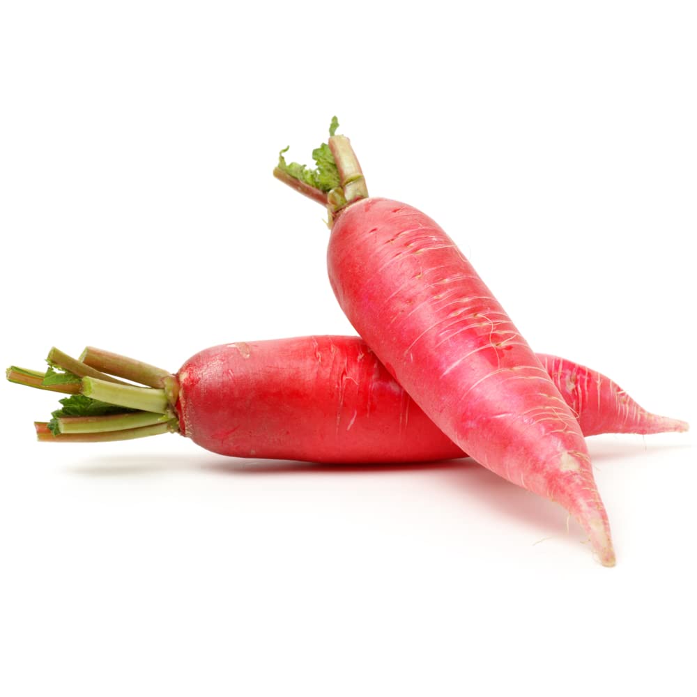 China Rose Radish Seeds - 45 Count Pack for Home Gardening, Organic Vegetable Planting, and Fresh Salad Ingredients