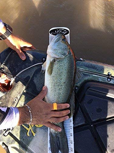 Line Cutterz Rust-Free Ceramic Blade Ring - Quick Fishing Line Cutter Tool with Patented Design | Perfect for Saltwater Fishing, Boating & Outdoor Adventures