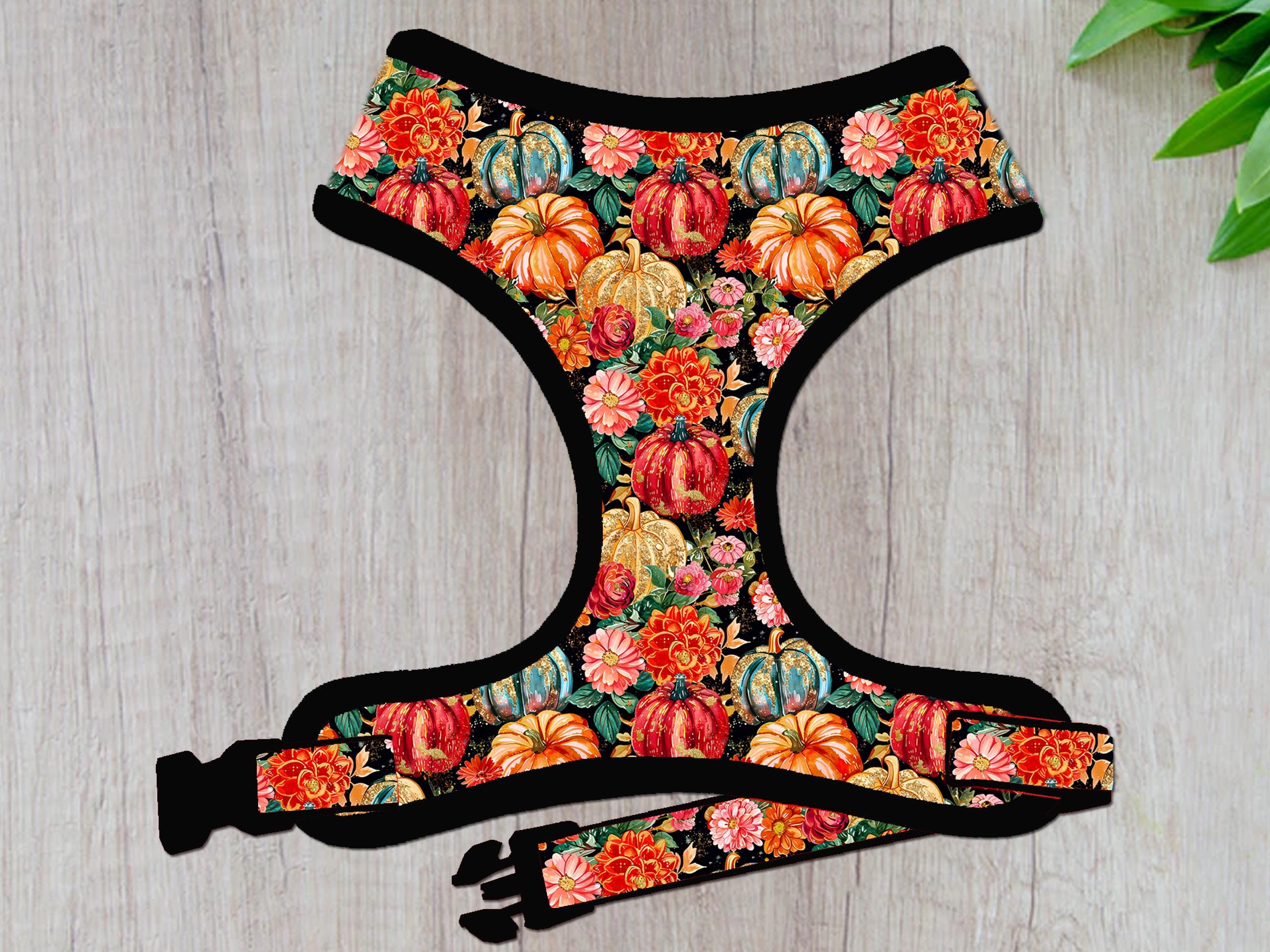 Preppy Pumpkin Dog Harness - Adjustable Pet Vest for Small to Medium Dogs - Perfect for Walking, Hiking & Outdoor Adventures